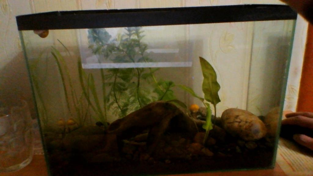 photo_00001.jpg