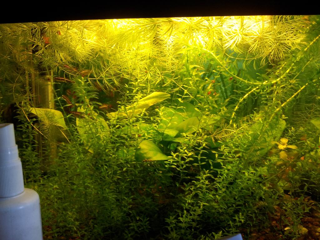 20120630_162706.jpg