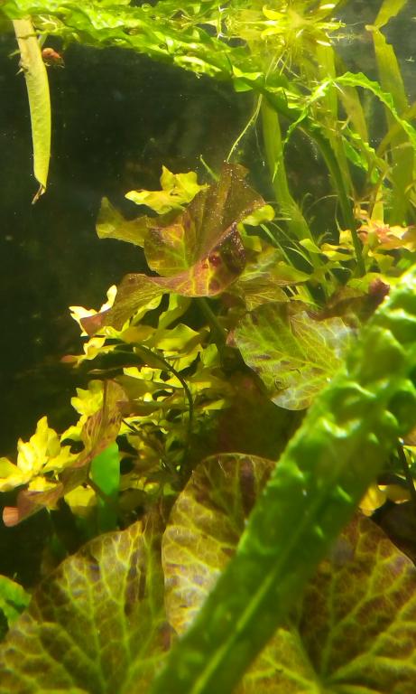 img_20170219_224614.jpg