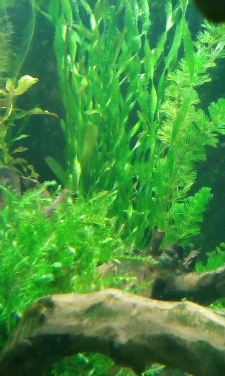 img_20170219_224748.jpg