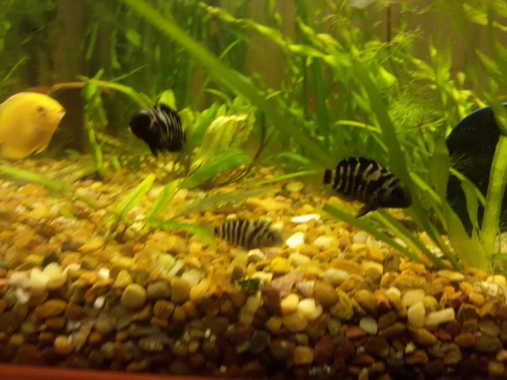 20160322_191039.jpg