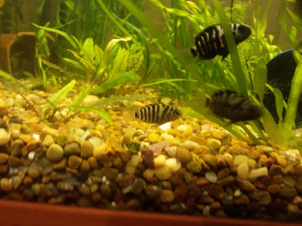 20160322_191042.jpg
