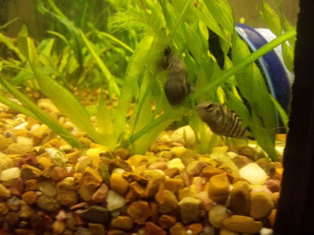 20160322_191349.jpg