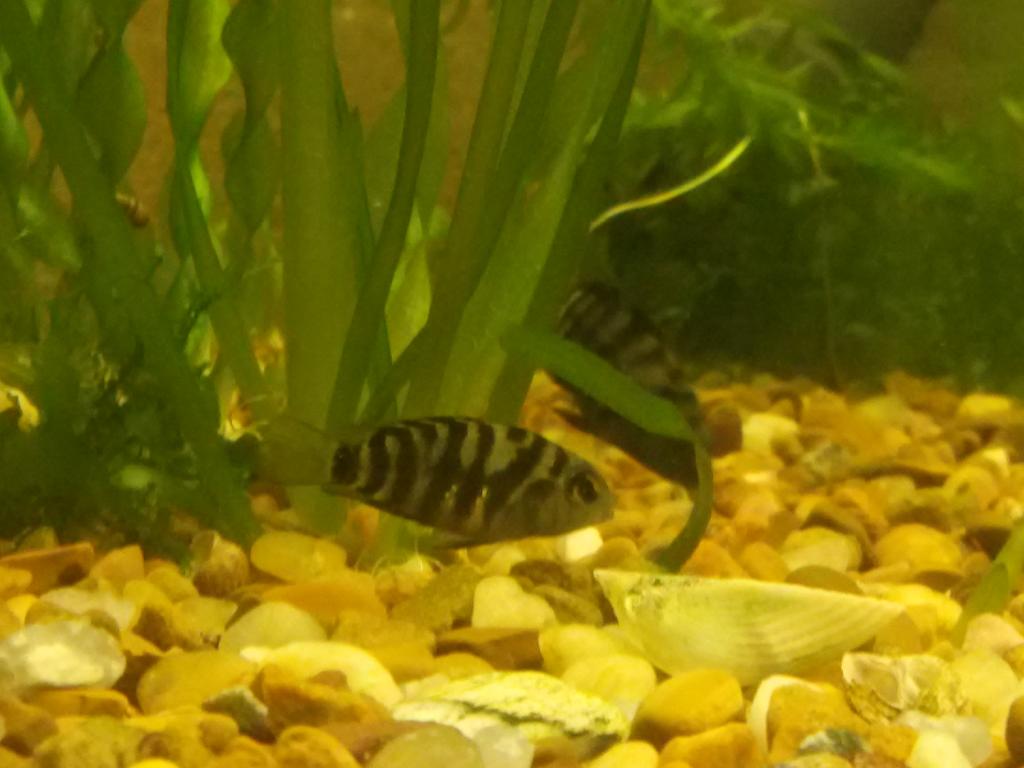 20160323_084555.jpg