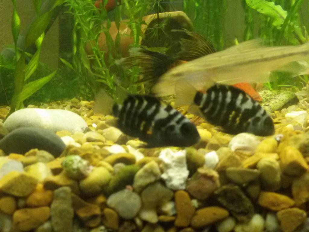 20160323_085046.jpg