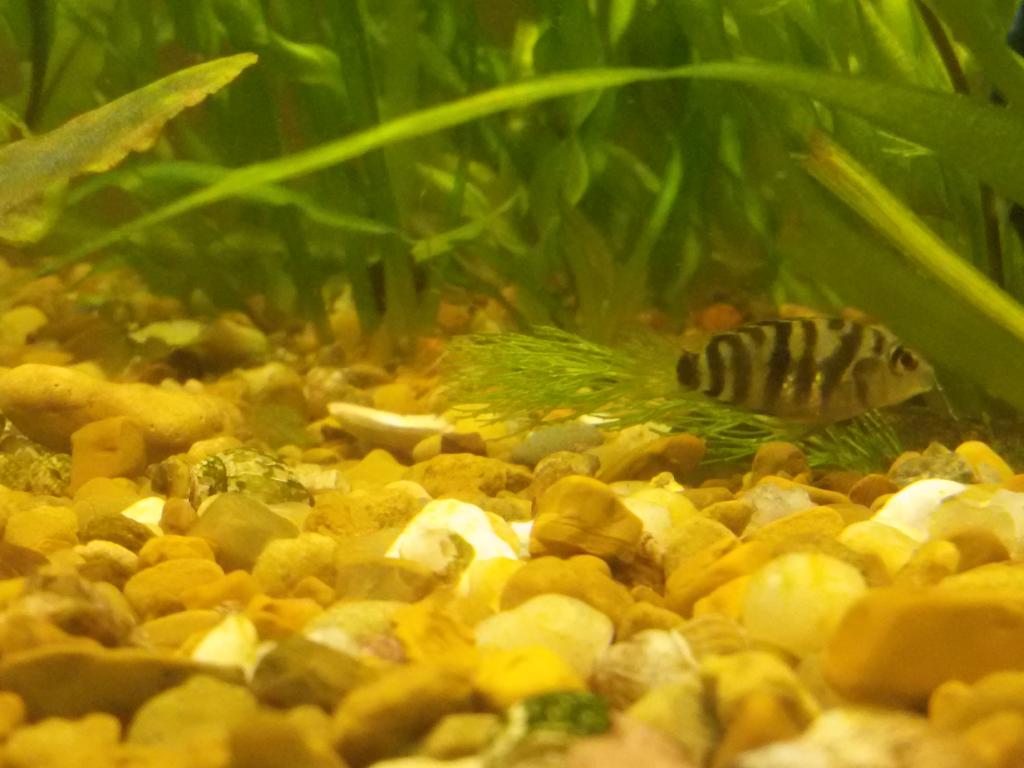 20160323_085056.jpg