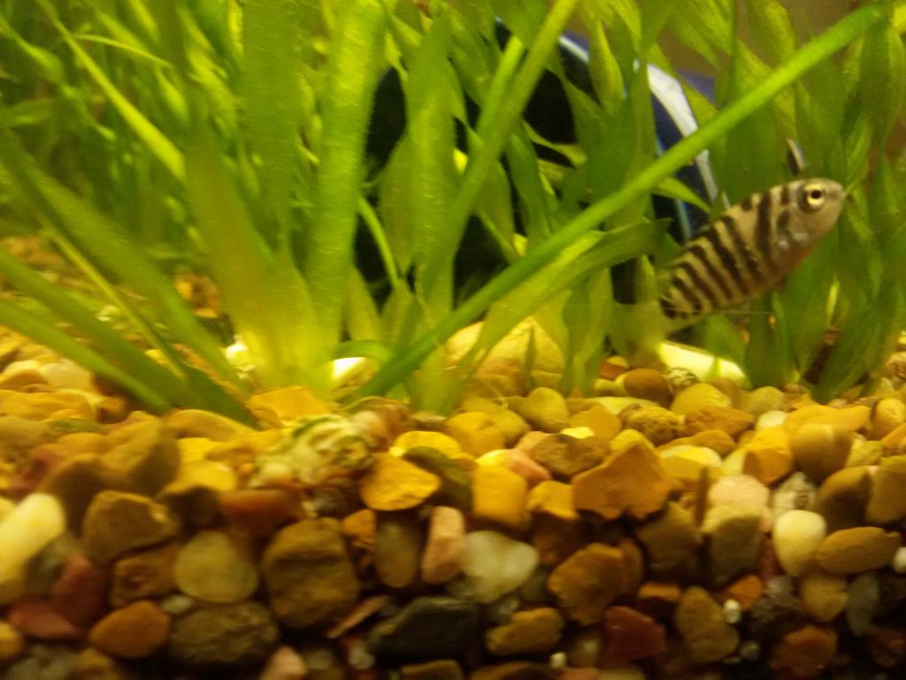 20160323_185129.jpg