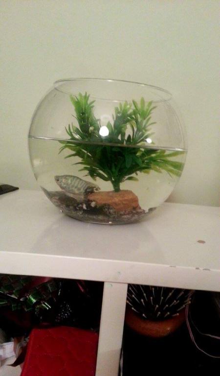 received_1669563623284835.jpeg