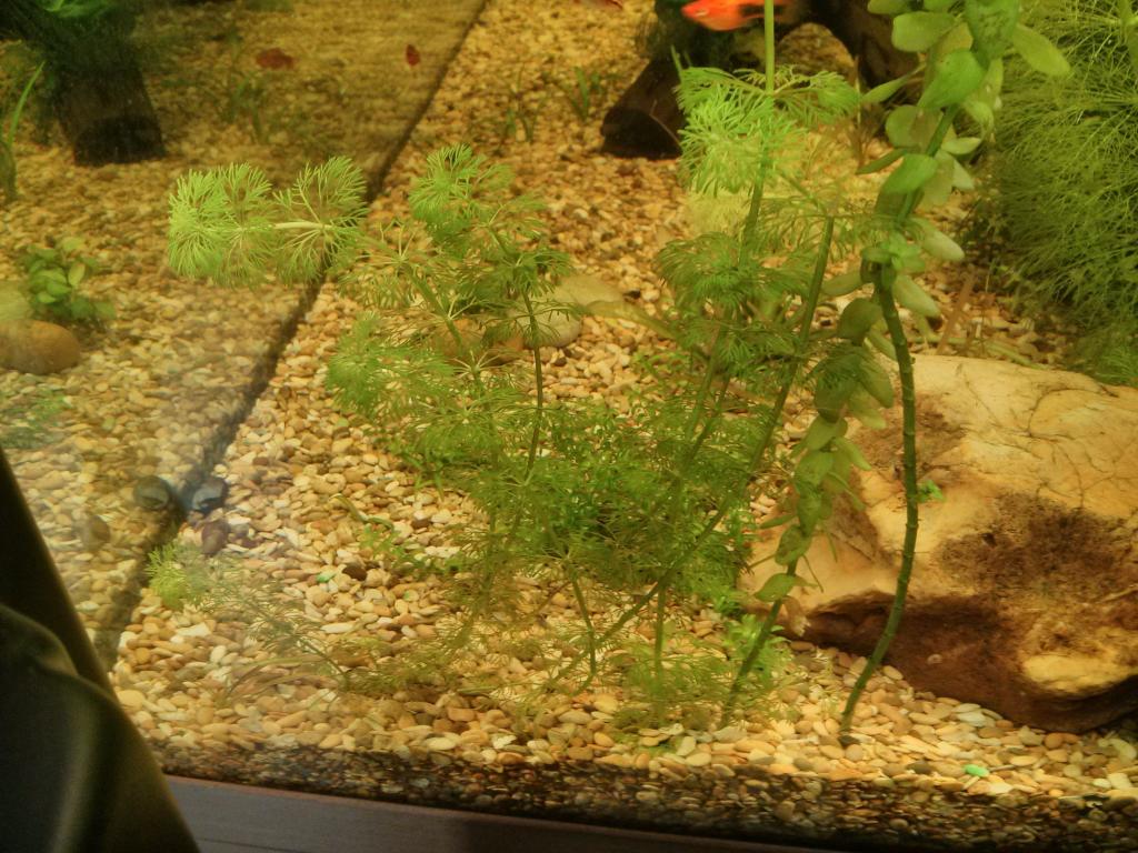 img_20160221_124216.jpg