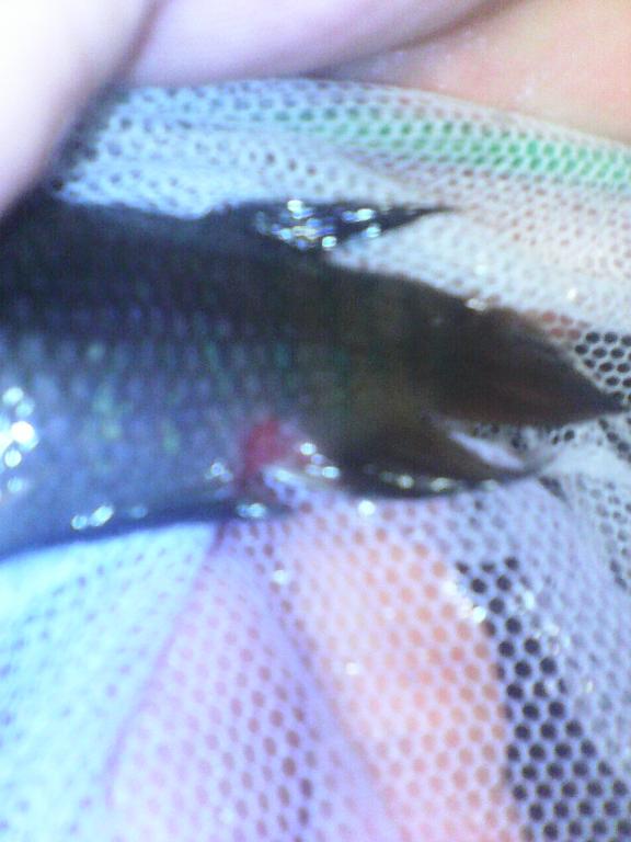 img_20161006_194435.jpg