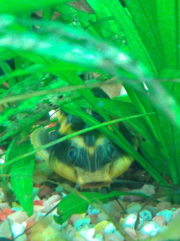 img_2016-09-06_154233.jpg