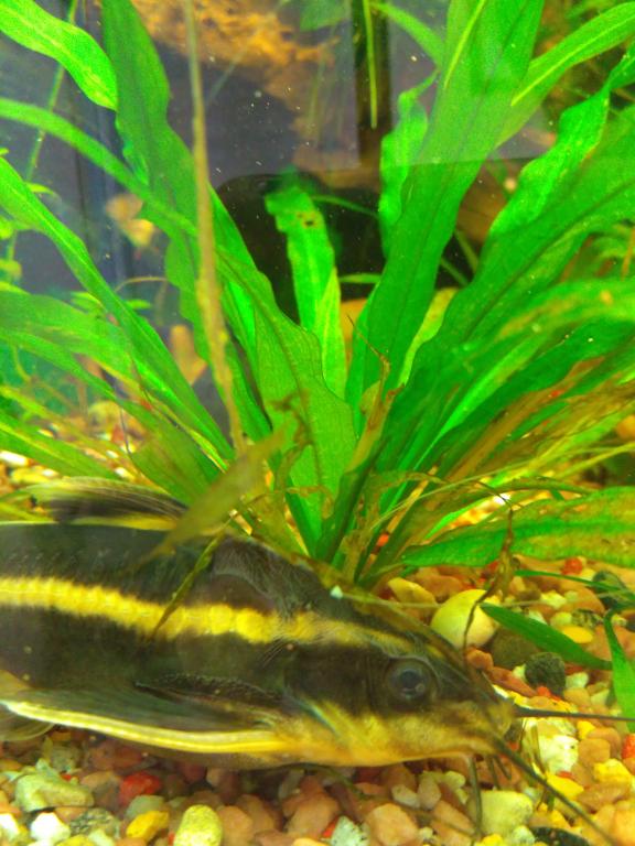 img_2016-09-06_154254.jpg