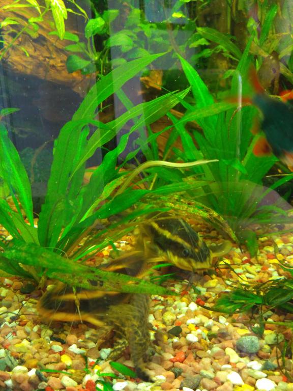 img_2016-09-06_154308.jpg