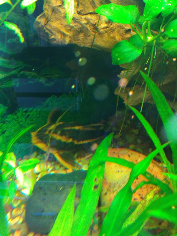 img_2016-09-09_105401.jpg