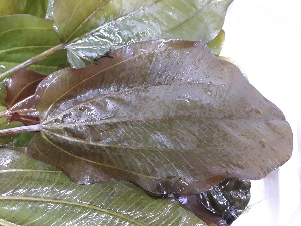 20190204_111803_0.jpg