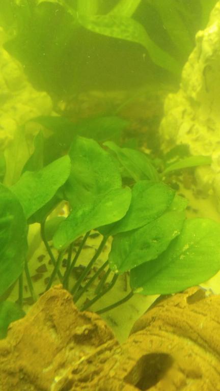 img-20171124-wa0007_0.jpg
