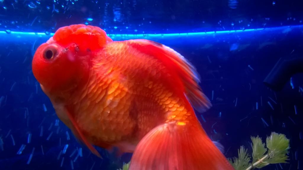 wp_20180329_009.jpg