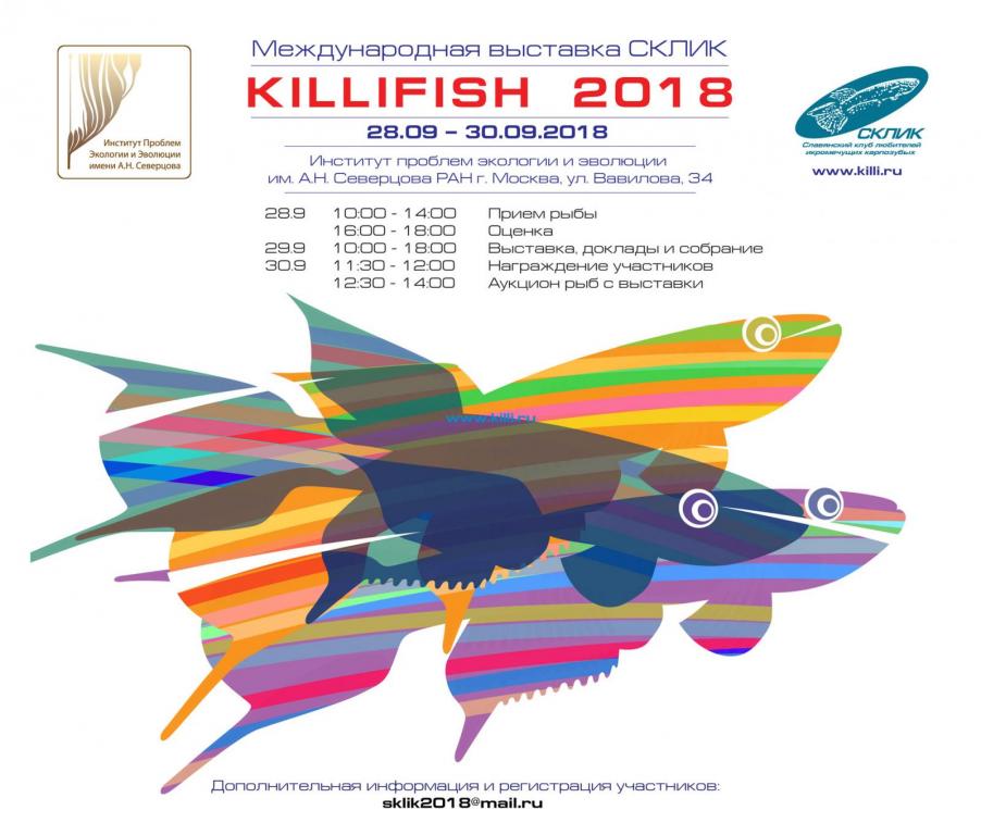 plakat-2018-rus.jpg
