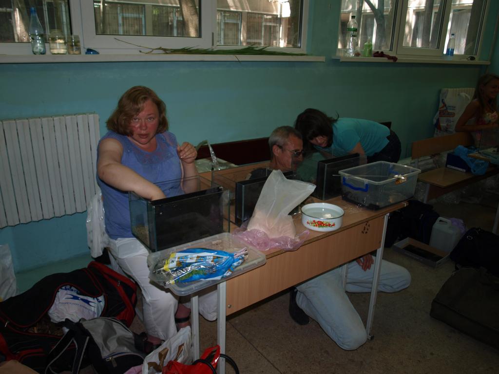 p1010731.jpg