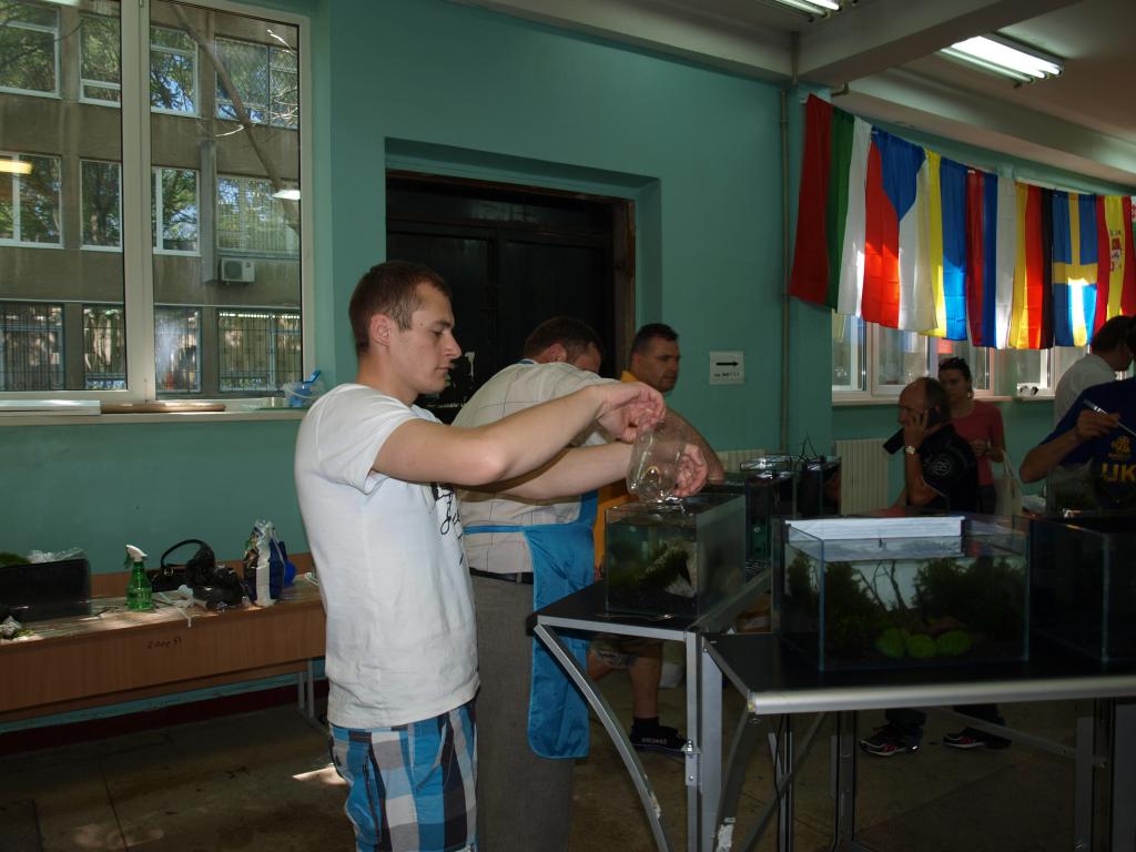 p1010738.jpg
