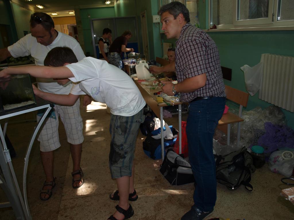 p1010760.jpg