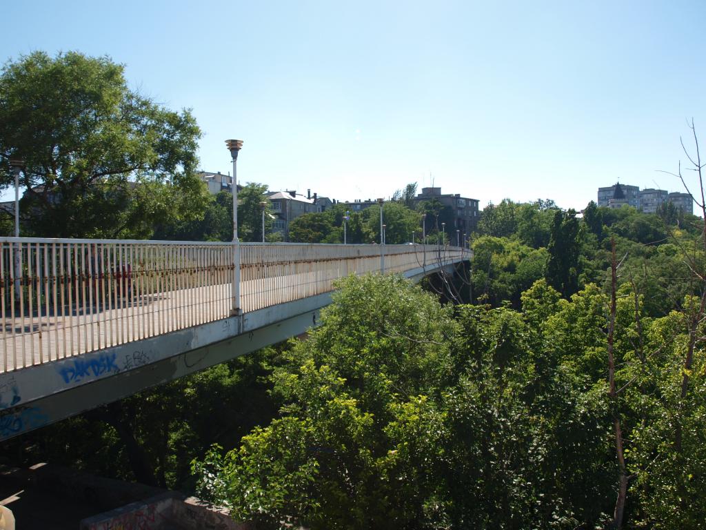 p1010887.jpg