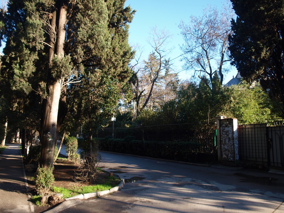 p2149153.jpgev_.jpg