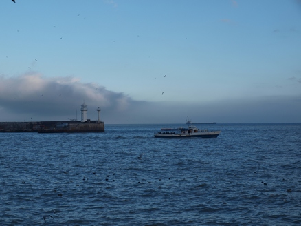 p2149192.jpgev_.jpg