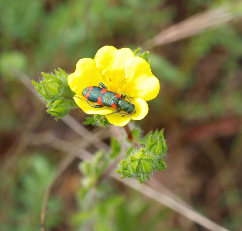 p5179847_cr.jpg