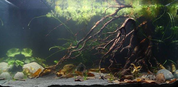 pblr-egkj6s.jpg_3.jpg