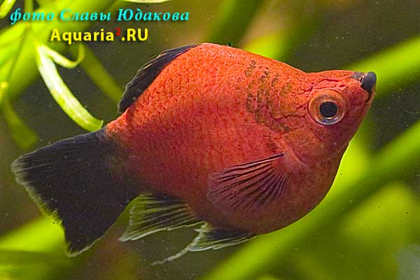 crw_4852.jpg