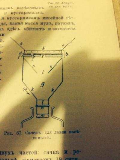 image_0.jpg