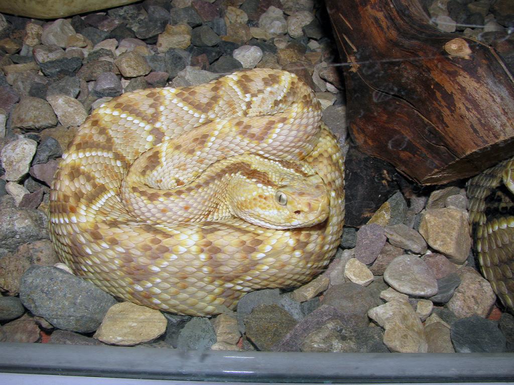 14.