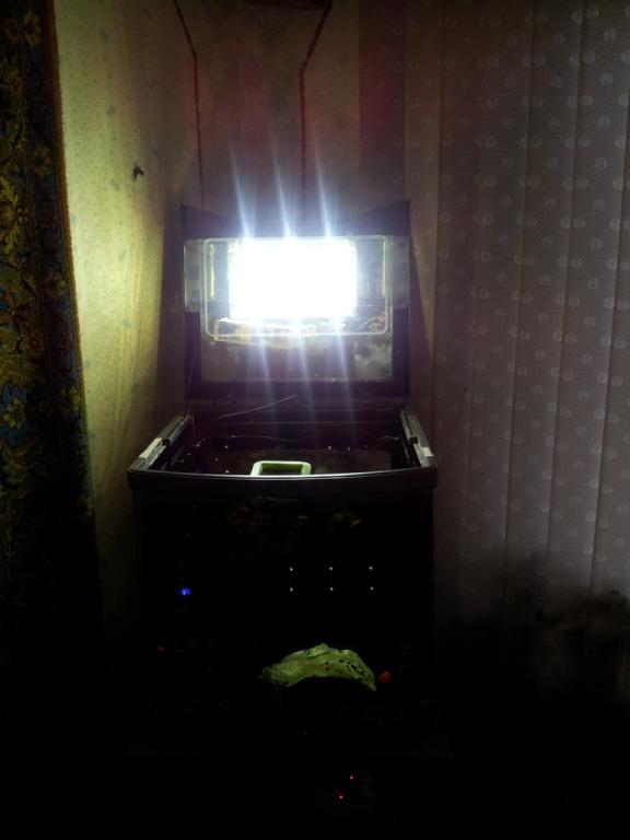 20120509_194856.jpg