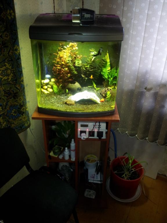 20120509_195642.jpg