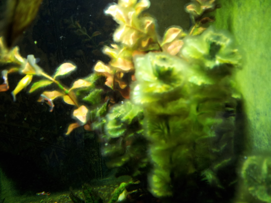 camerazoom-20120506151121725.jpg