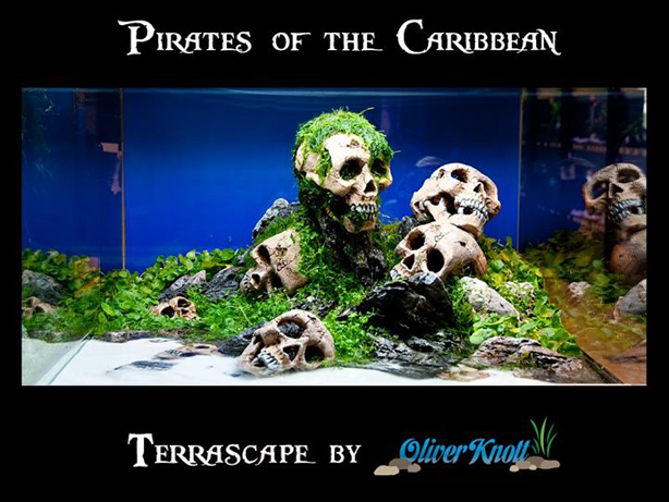 scull_5_pirates_of_the_caribbean.jpg