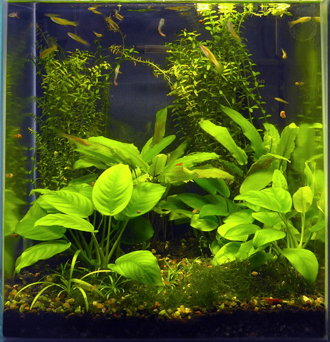 0_df700_5b9a9b4c_l.jpg