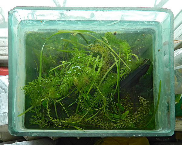 dscn0378_web.jpg