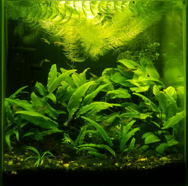 wdscn7887_1.jpg
