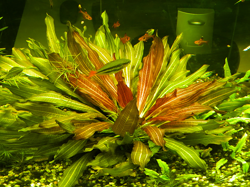 wdscn7902_1.jpg