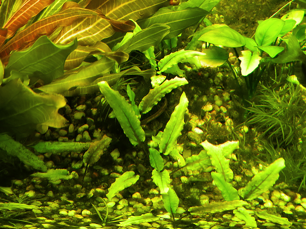 wdscn7907_1.jpg
