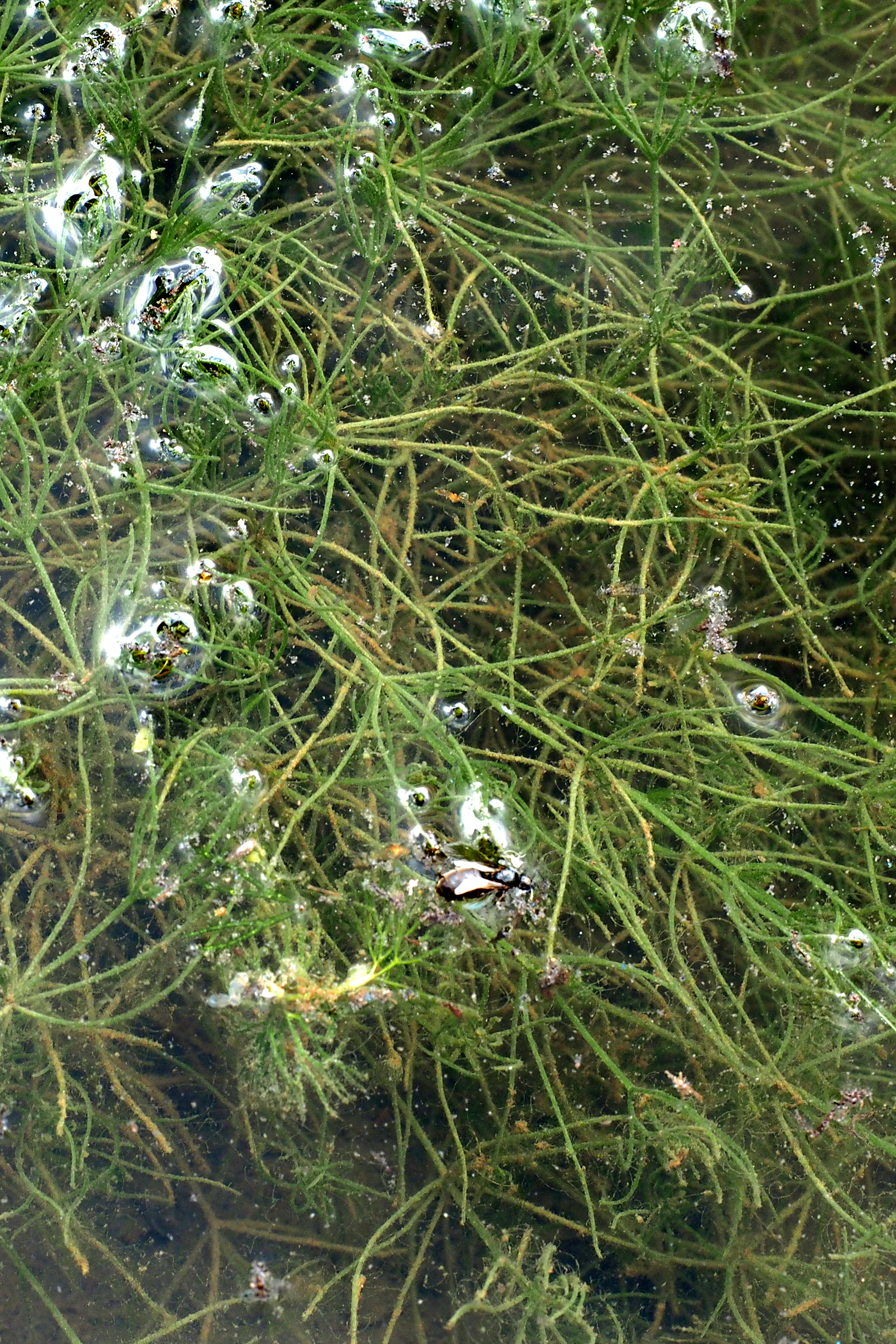 p7231060_m.jpg
