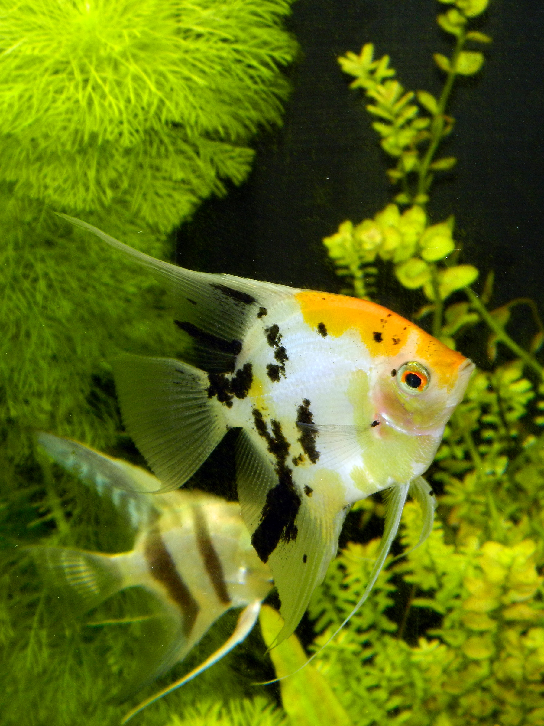 dscn1232_r.jpg