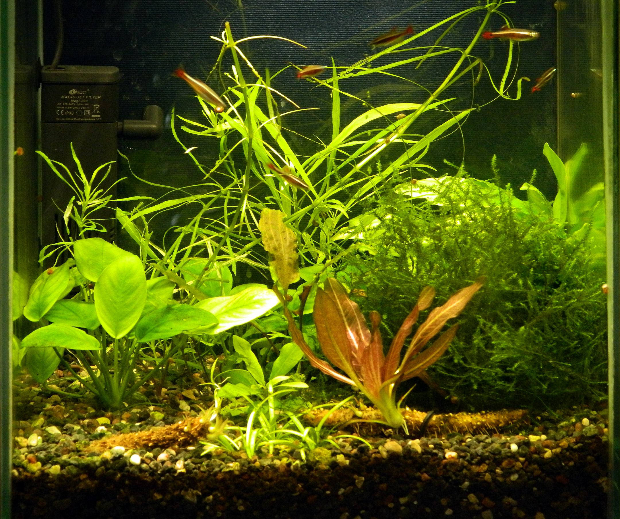 dscn1282_r.jpg