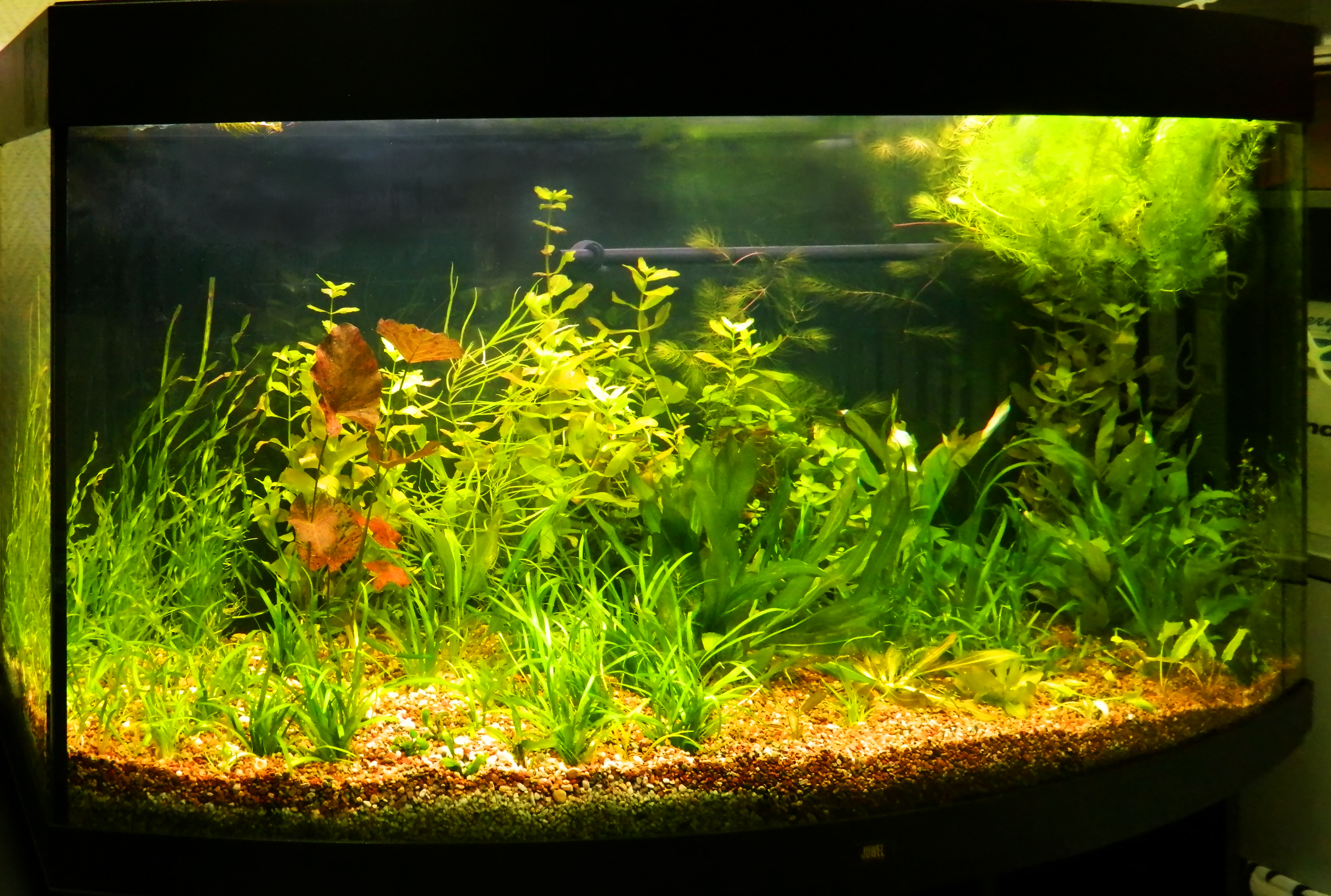 dscn3838.jpg