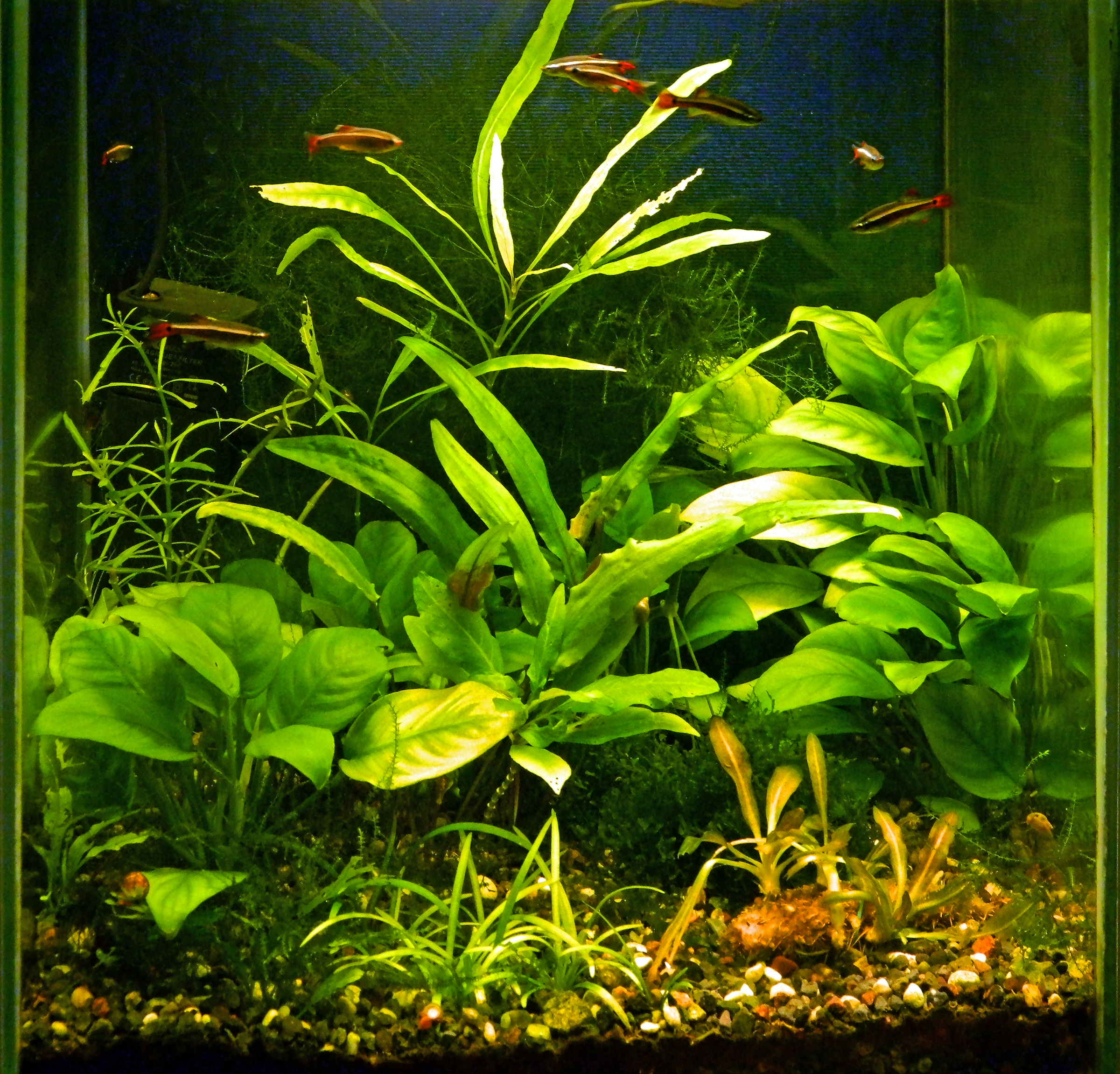 dscn4476_edit.jpg