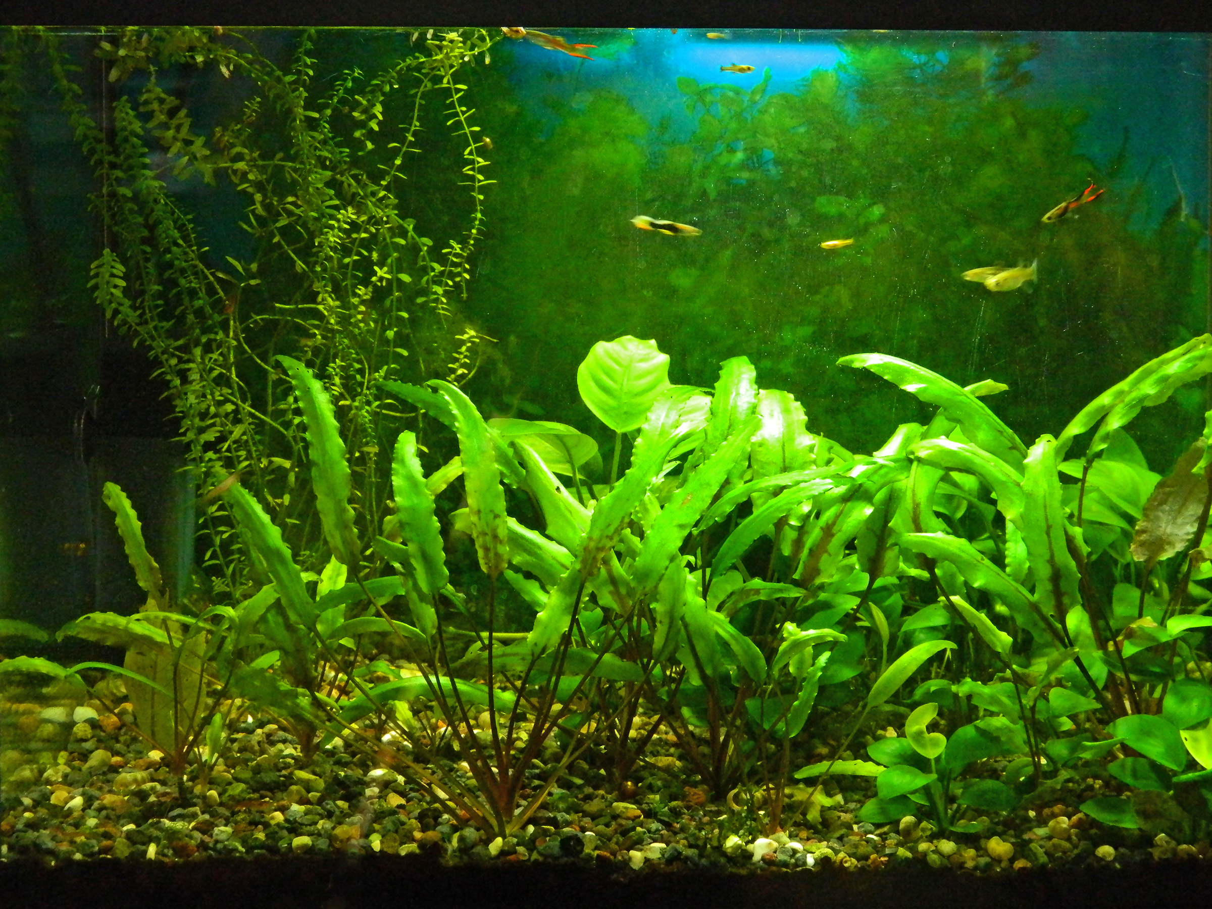 dscn4513_edit.jpg