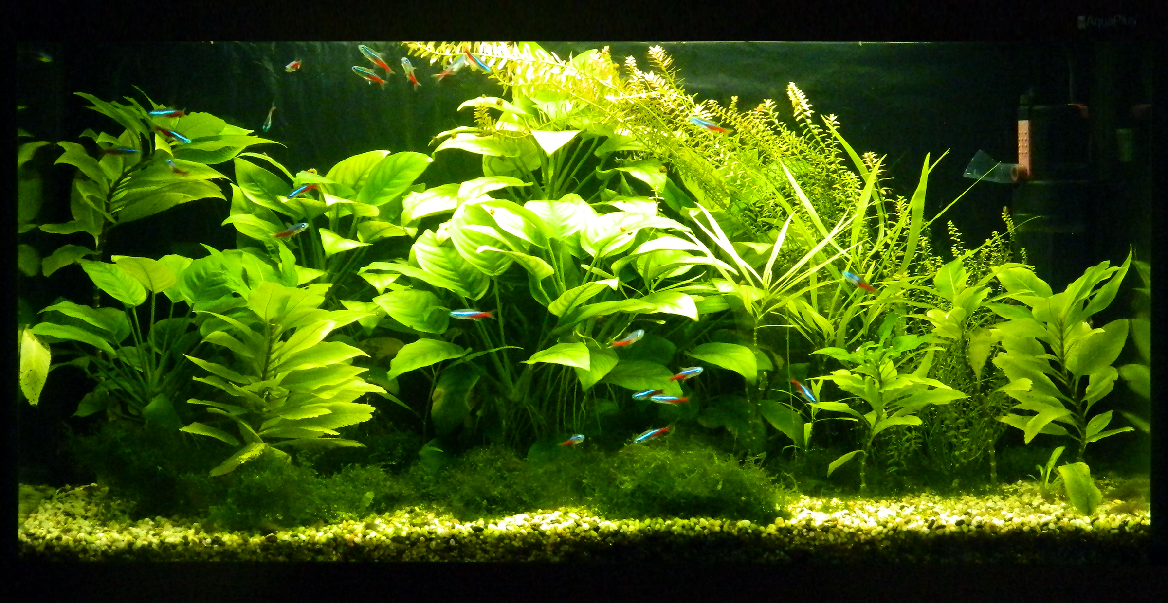 dscn4517_edit.jpg