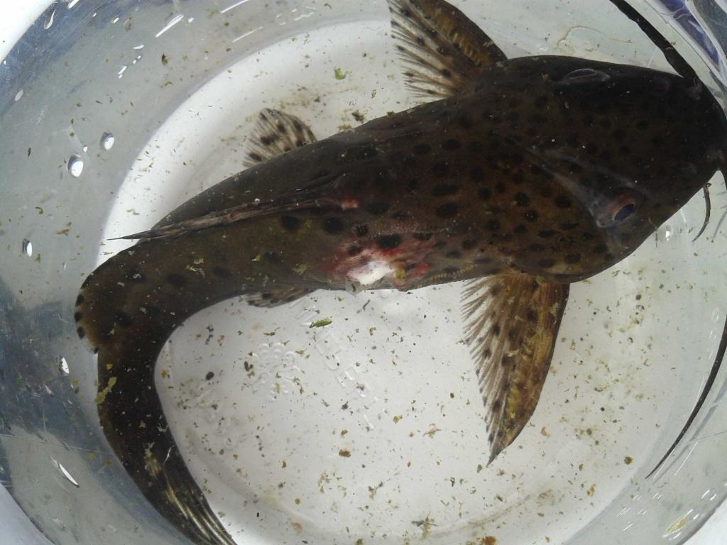 20130728_132422-2.jpg
